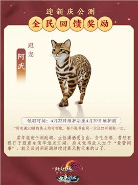 天龙八部私服的命令